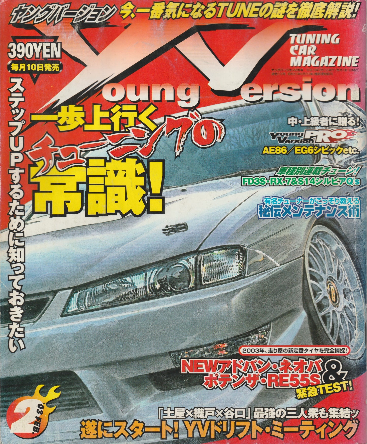 Young Version — February 2003